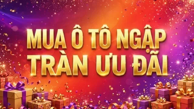 Địa điểm hỗ trợ xem xe tại Cà Mau